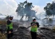 Bara Belum Mati! Karhutla Kembali Mengintai di Belakang Bandara Supadio