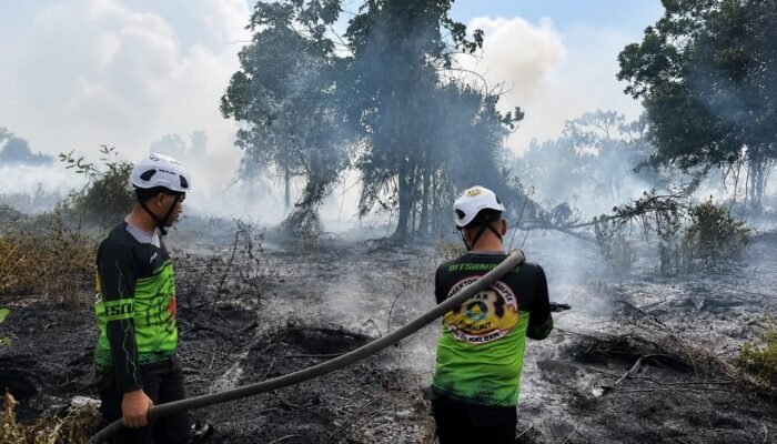 Bara Belum Mati! Karhutla Kembali Mengintai di Belakang Bandara Supadio
