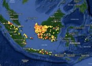 Bang Midji Soroti Penanganan Karhutla: Jangan Hanya Salahkan Peladang, Perusahaan Harus Ditindak Tegas