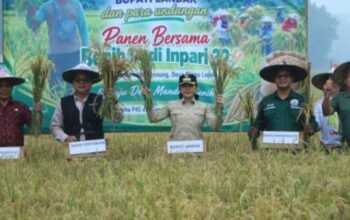 Romo, Benih, dan Harapan dari Hulu Landak