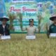 Romo, Benih, dan Harapan dari Hulu Landak