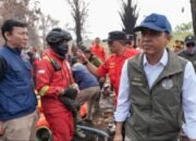 Lima Perusahaan di Kalbar Kena Sanksi, Ribuan Hektare Konsesi Terbakar: Raja Juli Buka Jalan ke Pidana